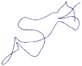 Single Stranded DNA Binding Protein 3 (SSBP3)