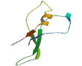 Six Transmembrane Epithelial Antigen Of The Prostate 1B (STEAP1B)