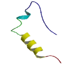 Small Cell Adhesion Glycoprotein (SMAGP)