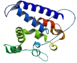 Small G Protein Signaling Modulator 1 (SGSM1)