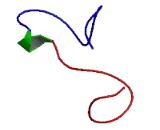 Small Integral Membrane Protein 13 (SMIM13)