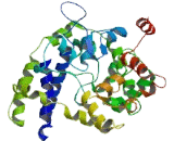 Small Nuclear RNA Activating Complex Polypeptide 1 (SNAPC1)