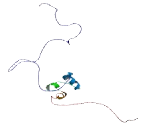 Small Nuclear RNA Activating Complex Polypeptide 2 (SNAPC2)