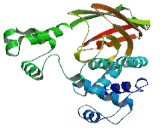 Small Nuclear Ribonucleoprotein 200kDa (SNRNP200)