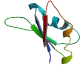 Small Nuclear Ribonucleoprotein 35kDa (SNRNP35)