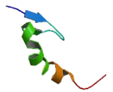 Small Nuclear Ribonucleoprotein 48kDa (SNRNP48)