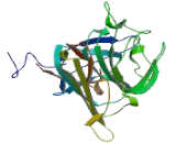 Small Nuclear Ribonucleoprotein 70kDa (SNRNP70)