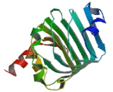 Small Nuclear Ribonucleoprotein Polypeptide A' (SNRPA1)