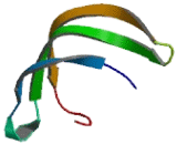 Small Nuclear Ribonucleoprotein Polypeptide E (SNRPE)