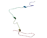 Small Proline Rich Protein 1A (SPRR1A)