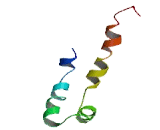 Small Proline Rich Protein 2F (SPRR2F)