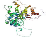 Smith Magenis Syndrome Chromosome Region, Candidate 7 (SMCR7)