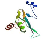 Sodium Channel Modifier Protein 1 (SCNM1)