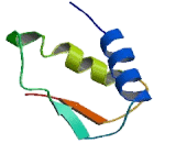 Sodium Coupled Monocarboxylate Transporter 1 (SMCT)