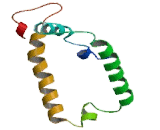 Sodium Coupled Neutral Amino Acid Transporter 2 (SNAT2)