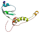 Sodium Coupled Neutral Amino Acid Transporter 3 (SNAT3)