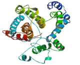 Sodium Dependent Glucose Transporter 1 (NAGLT1)