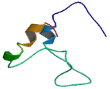 Sodium Dependent Vitamin C Transporter 1 (SVCT1)