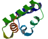 Sodium/Glucose Cotransporter 3 (SGLT3)