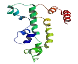 Sodium/Glucose Cotransporter 4 (SGLT4)