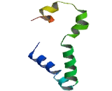 Sodium/Glucose Cotransporter 5 (SGLT5)