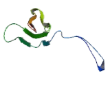 Sodium Iodide Symporter (NIS)