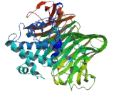 Soluble Scavenger Protein With 5 SRCR Domains (SSC5D)