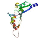 Solute Carrier Family 22, Member 18, Antisense (SLC22A18AS)