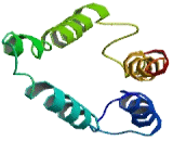 Solute Carrier Family 22, Member 25 (SLC22A25)