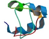 Sodium/Calcium Exchanger Protein, Mitochondrial (NCLX)