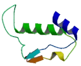 Solute Carrier Family 25, Member 18 (SLC25A18)