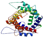 Solute Carrier Family 25, Member 36 (SLC25A36)