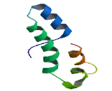 Solute Carrier Family 25, Member 40 (SLC25A40)