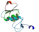 Solute Carrier Family 26, Member 10 (SLC26A10)