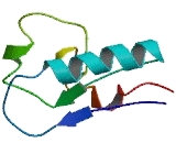 Solute Carrier Family 26, Member 9 (SLC26A9)