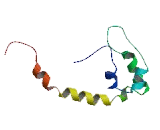 Solute Carrier Family 30, Member 9 (SLC30A9)