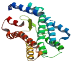 Solute Carrier Family 35, Member E2 (SLC35E2)