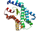 Solute Carrier Family 35, Member E2B (SLC35E2B)