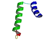 Solute Carrier Family 35, Member F4 (SLC35F4)