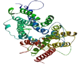 Solute Carrier Family 37, Member 2 (SLC37A2)