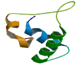 Solute Carrier Family 38, Member 9 (SLC38A9)