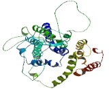 Solute Carrier Organic Anion Transporter Family, Member 1A4 (SLCO1A4)