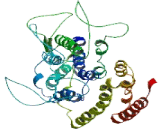 Solute Carrier Organic Anion Transporter Family, Member 1A5 (SLCO1A5)