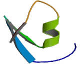 Solute Carrier Organic Anion Transporter Family, Member 1B3 (SLCO1B3)