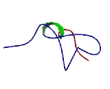 Solute Carrier Organic Anion Transporter Family, Member 1B7 (SLCO1B7)