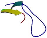 Solute Carrier Organic Anion Transporter Family, Member 5A1 (SLCO5A1)