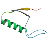 Solute Carrier Organic Anion Transporter Family, Member 6A1 (SLCO6A1)