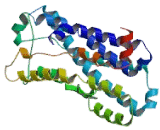 Somatostatin Receptor 1 (SSTR1)