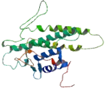 Somatostatin Receptor 2 (SSTR2)