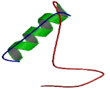 Somatostatin Receptor 3 (SSTR3)